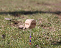 Golf dice